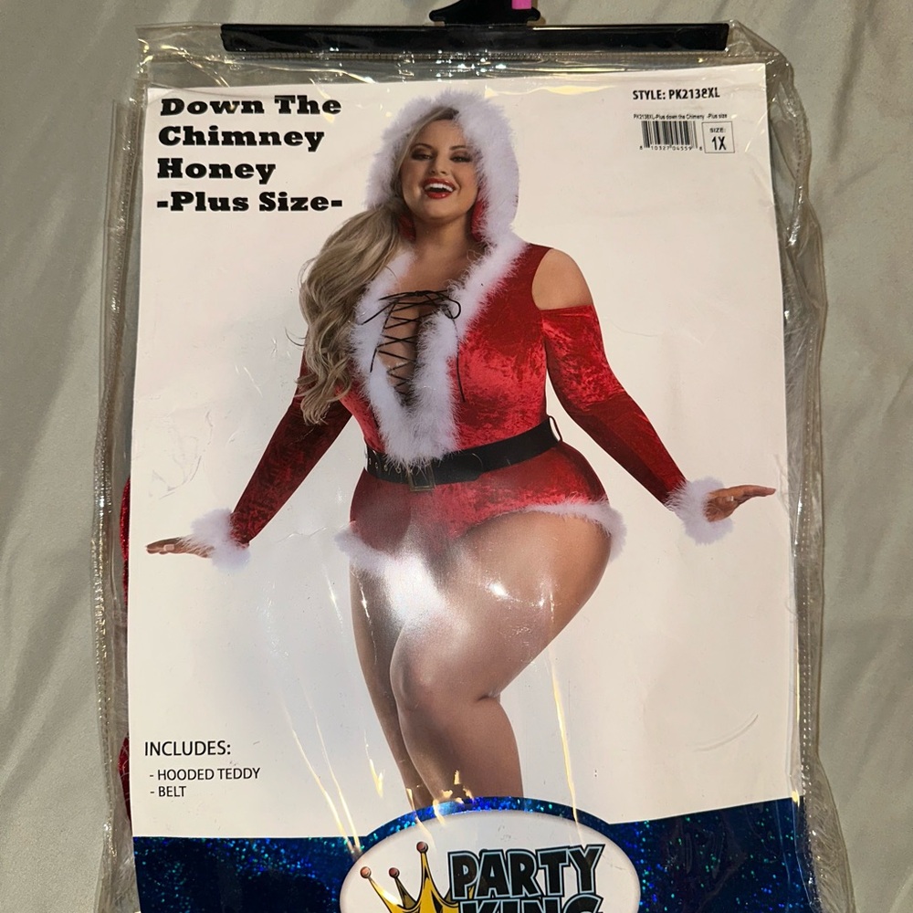 Plus Size Down the Chimney Honey Costume